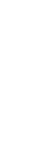 夜のコースもランチで