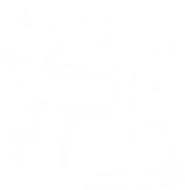 泡