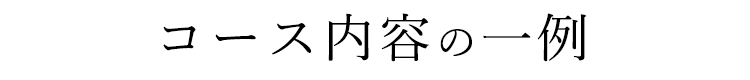 コース内容の一例