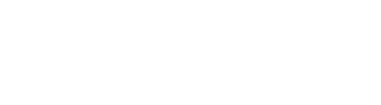 夜のコースもランチで